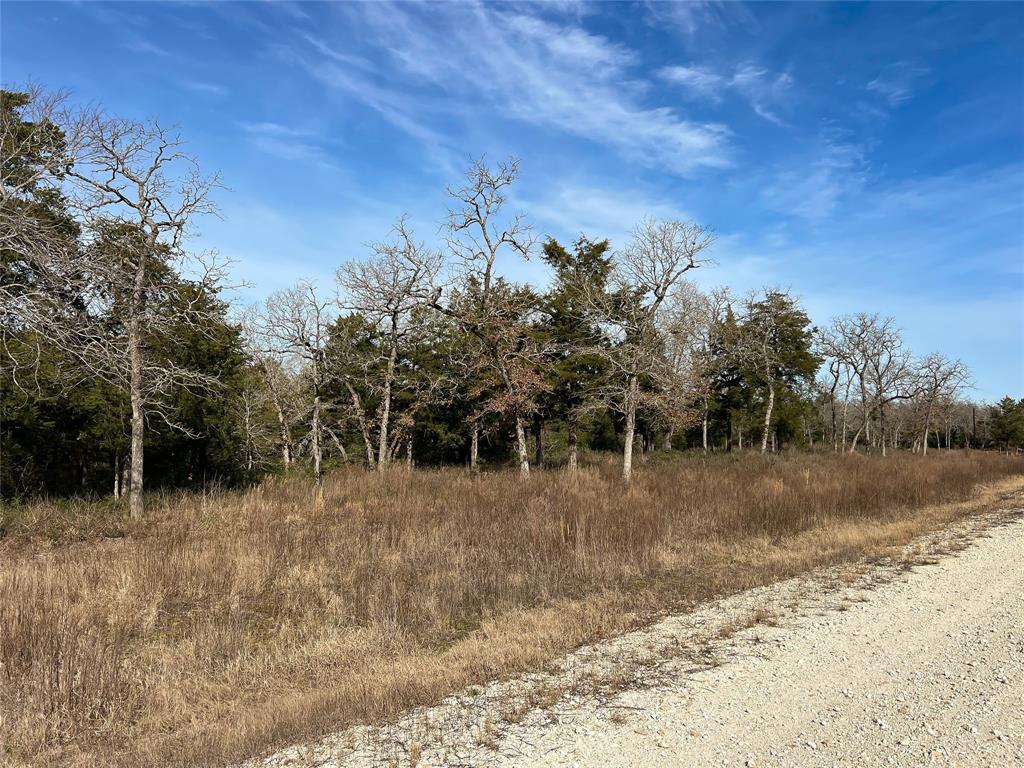 TBD Cr 389, Jewett, Texas image 1