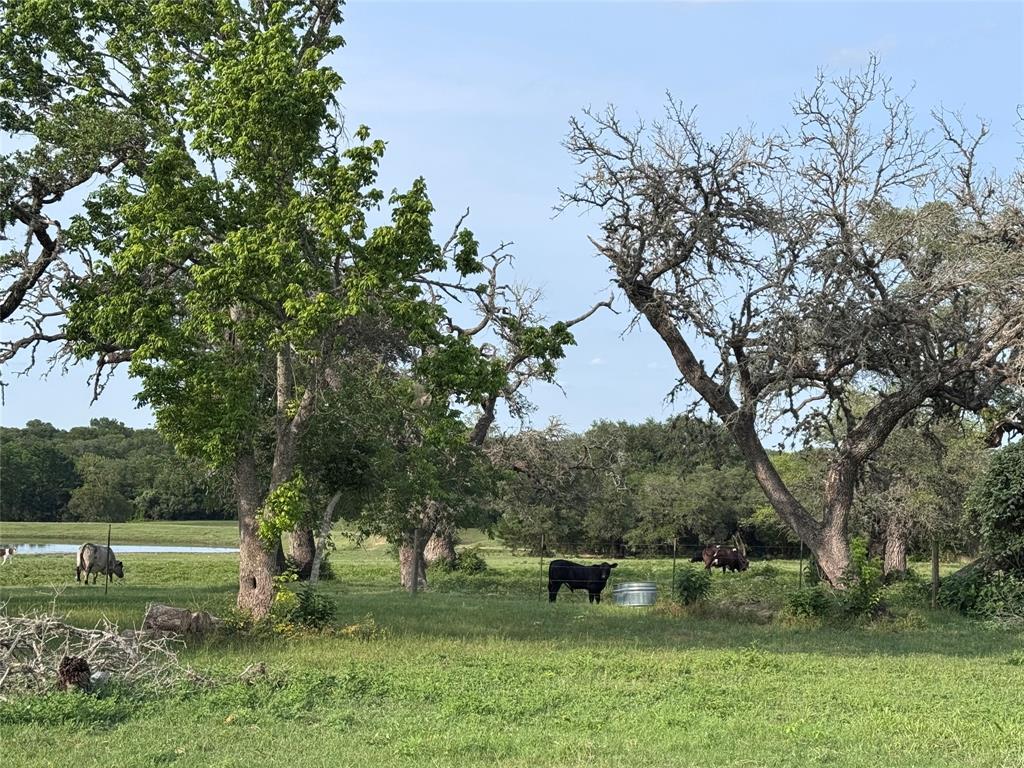 6346 Sand Rock Rd, La Grange, Texas image 26