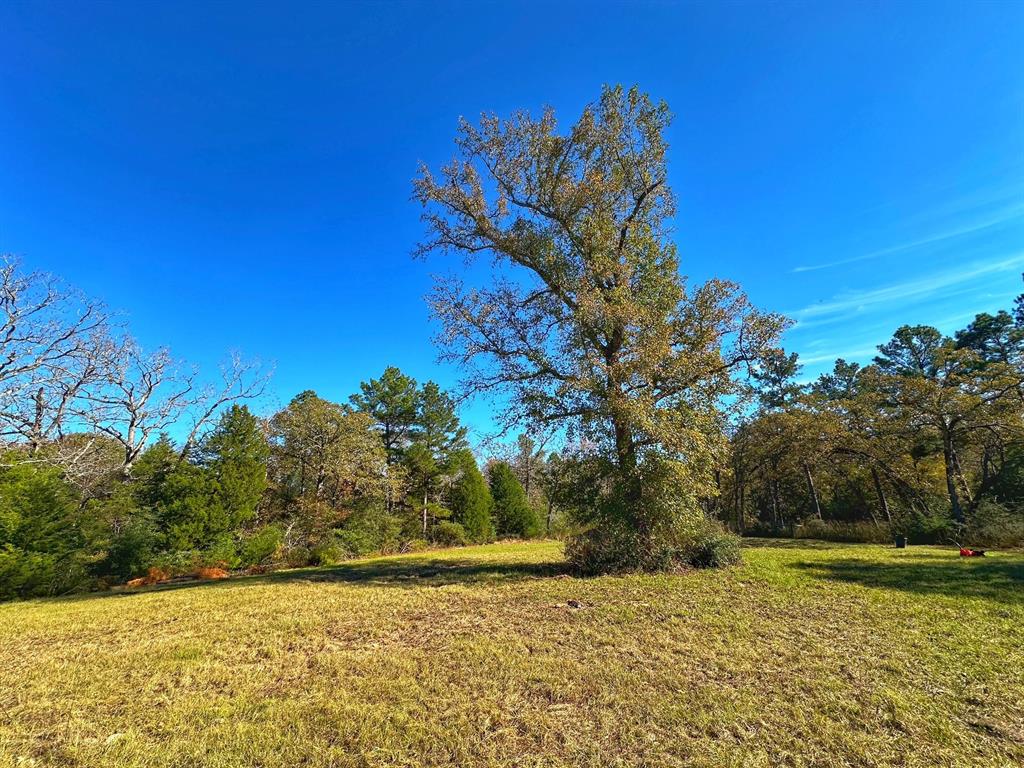 4630 Fm 811, Centerville, Texas image 9