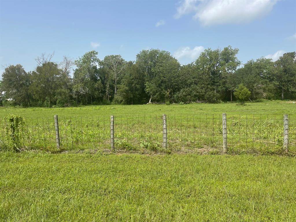 10098 County Road 341, Plantersville, Texas image 2