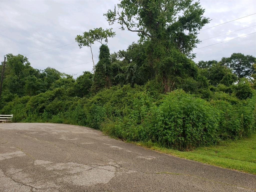 Lost Lake Drive, Mont Belvieu, Texas image 9