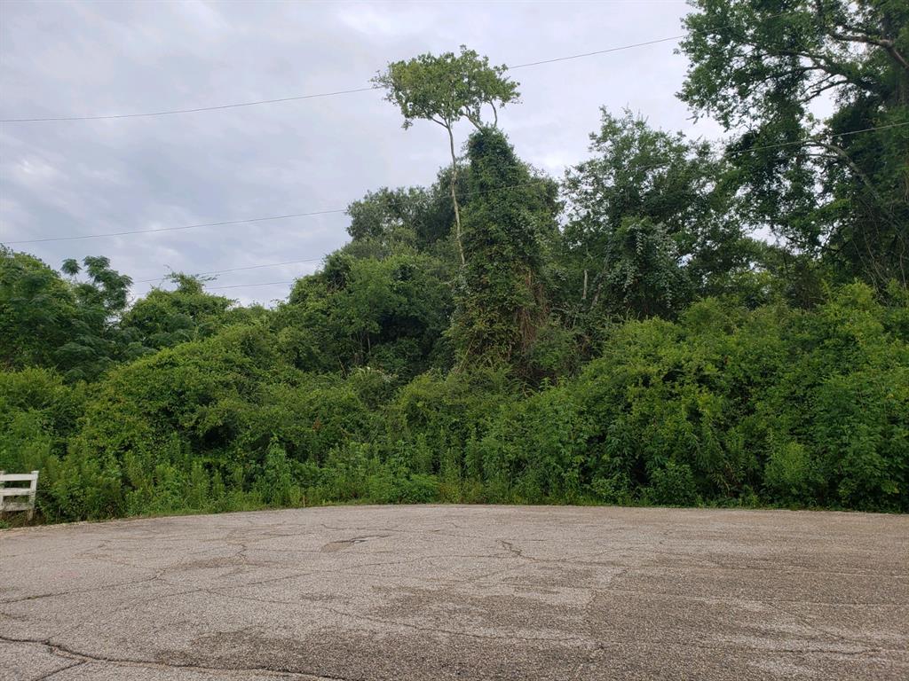 Lost Lake Drive, Mont Belvieu, Texas image 2