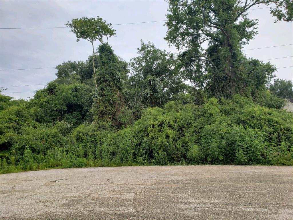 Lost Lake Drive, Mont Belvieu, Texas image 3