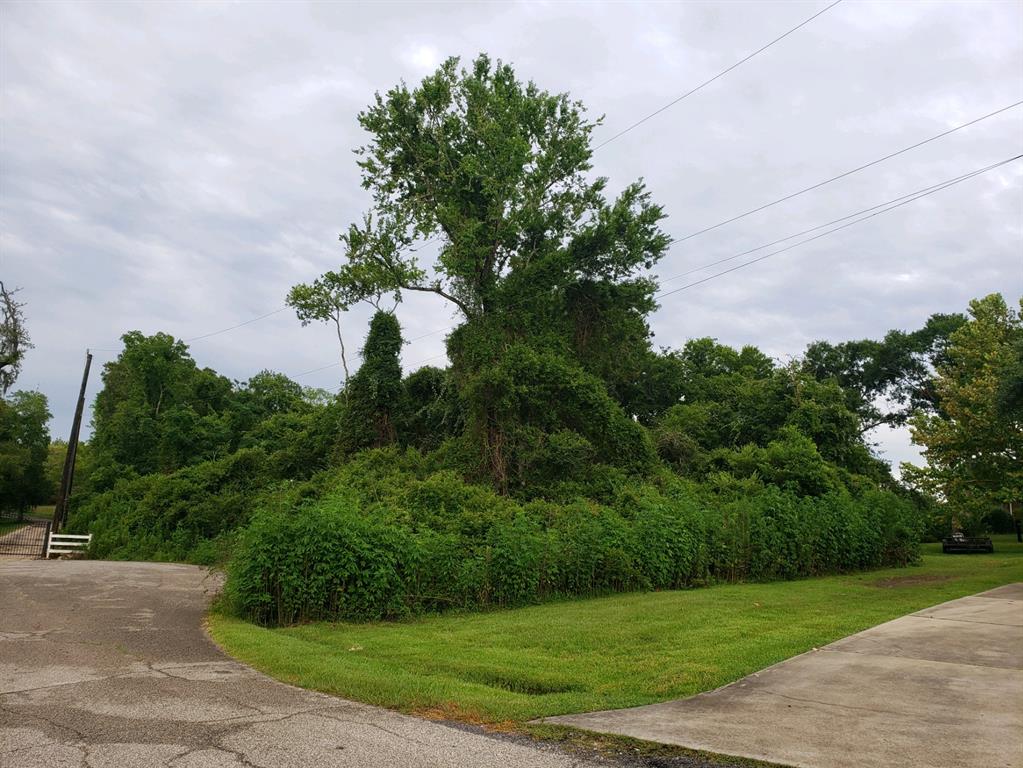 Lost Lake Drive, Mont Belvieu, Texas image 7