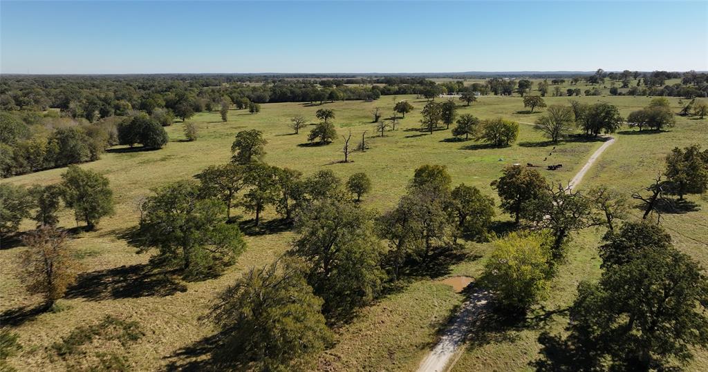 10149 Fm 1428, Midway, Texas image 13
