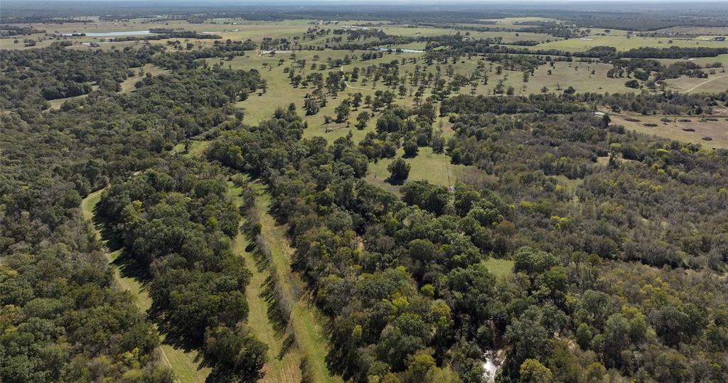 10149 Fm 1428, Midway, Texas image 3