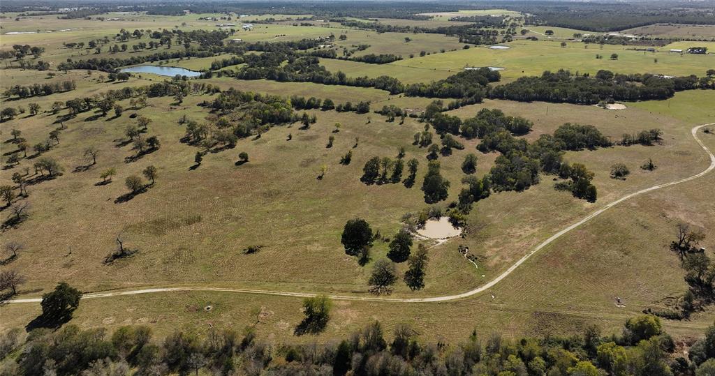 10149 Fm 1428, Midway, Texas image 10