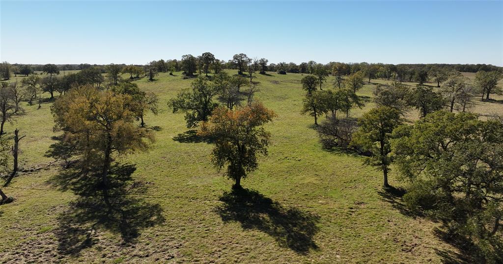 10149 Fm 1428, Midway, Texas image 9