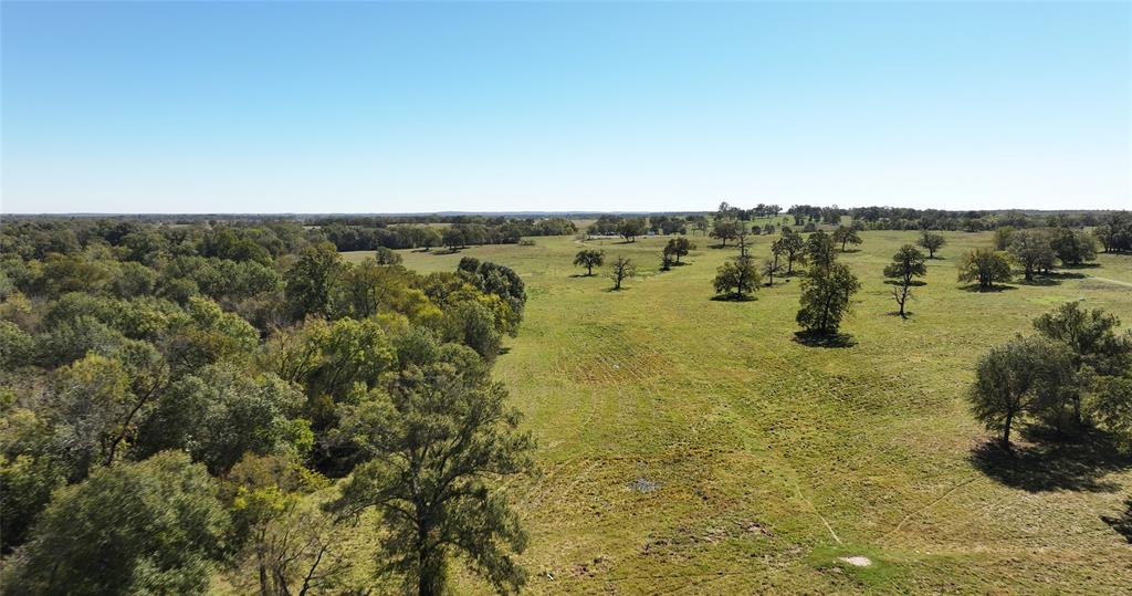 10149 Fm 1428, Midway, Texas image 8