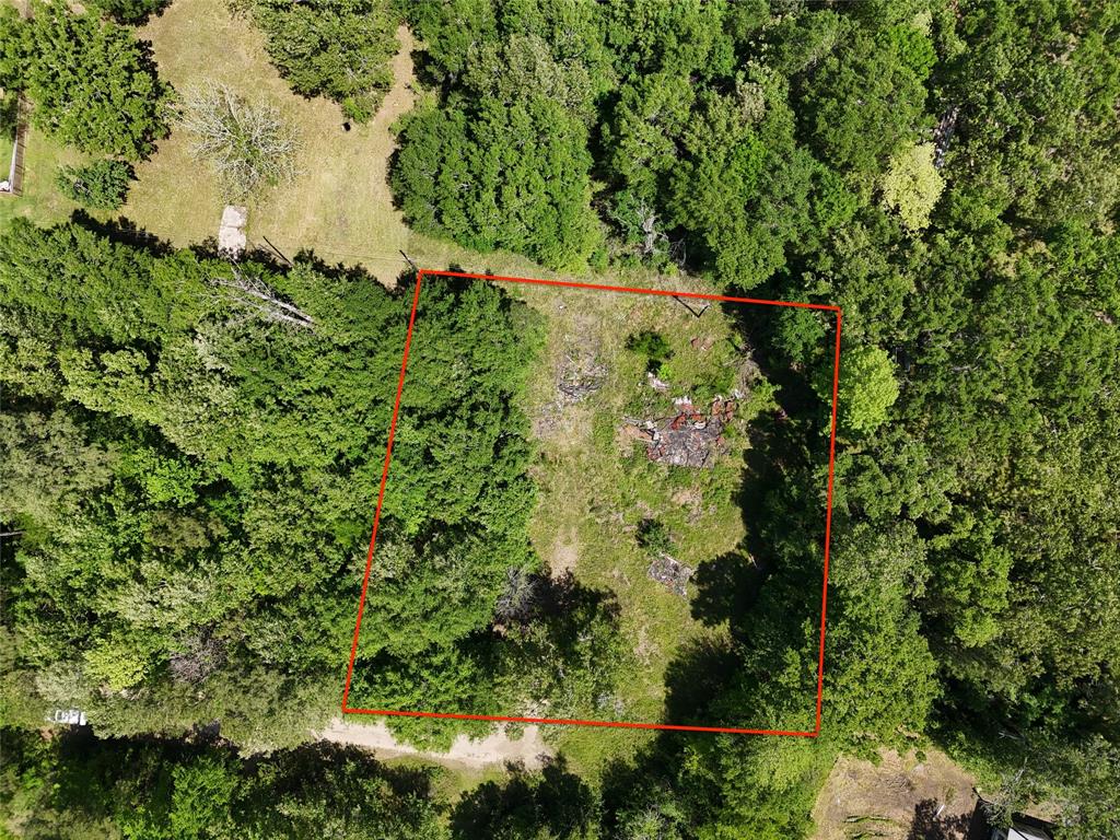 303 Raven, Livingston, Texas image 4