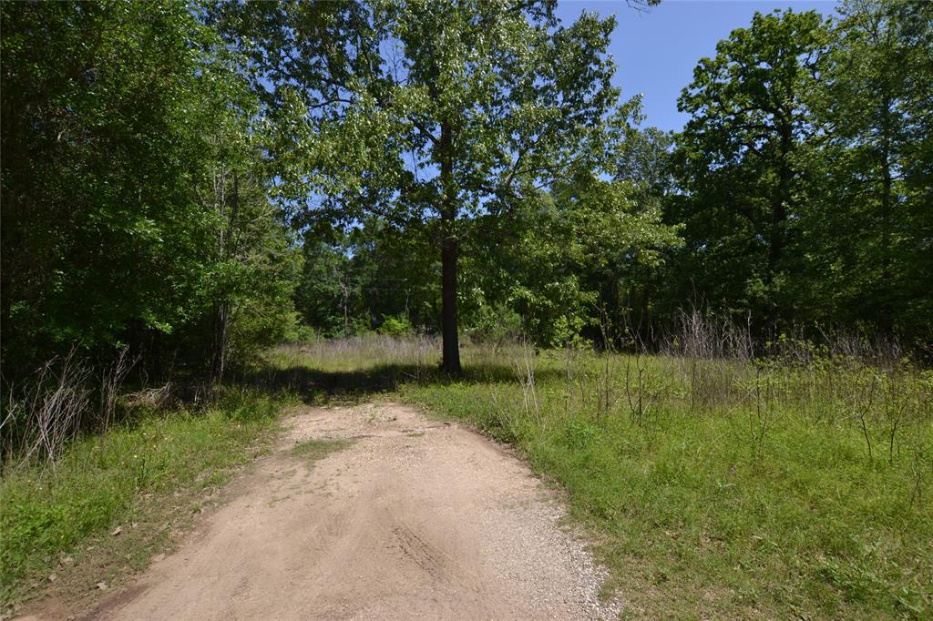 303 Raven, Livingston, Texas image 8
