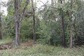 24483 Clark Road