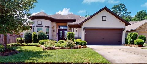 213 N Elderberry Trail Montgomery TX 77316