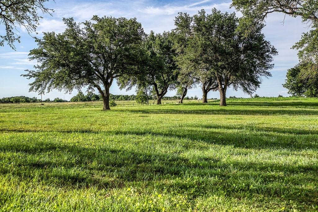 9909 Latium Cemetery Road, Burton, Texas image 29