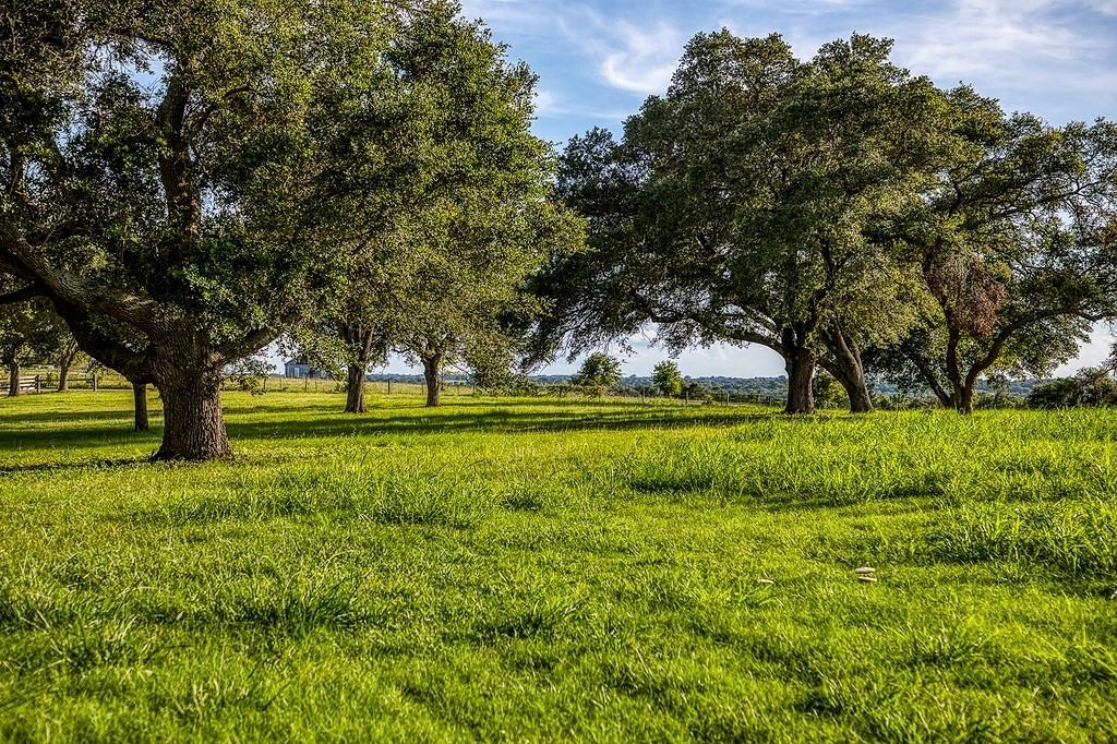 9909 Latium Cemetery Road, Burton, Texas image 26