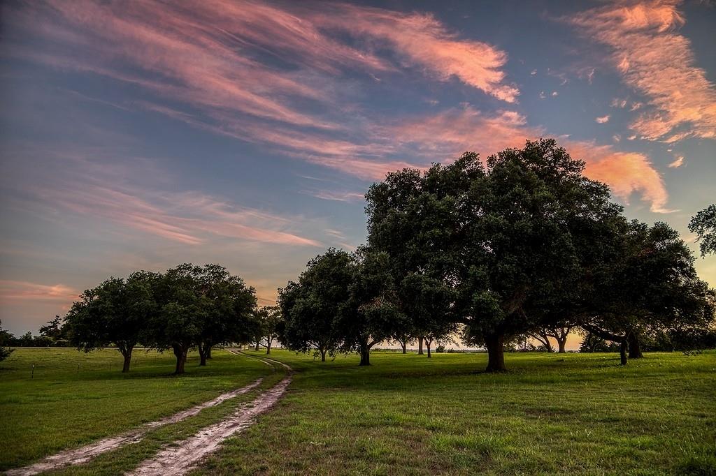 9909 Latium Cemetery Road, Burton, Texas image 18