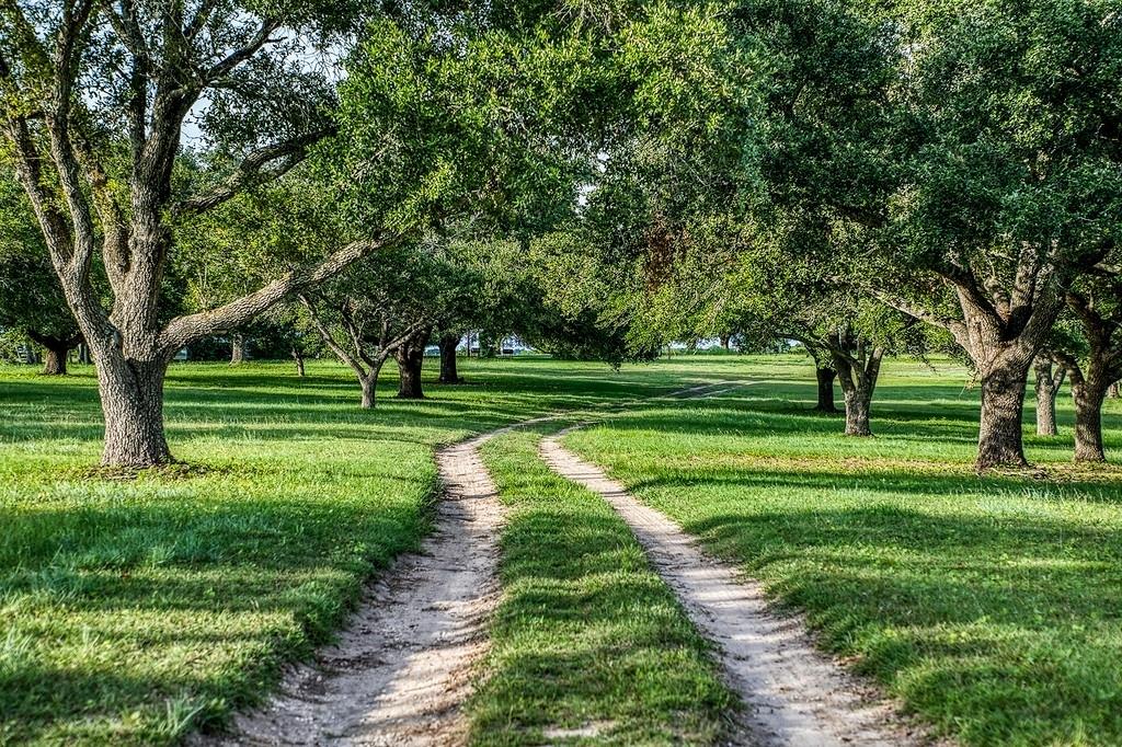 9909 Latium Cemetery Road, Burton, Texas image 3