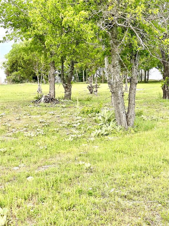 6200 S Fort Hood Street, Killeen, Texas image 16