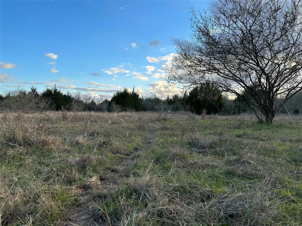 39421 Fm 529, Brookshire, Texas image 34