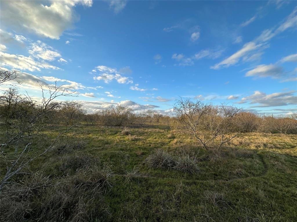 39421 Fm 529, Brookshire, Texas image 31