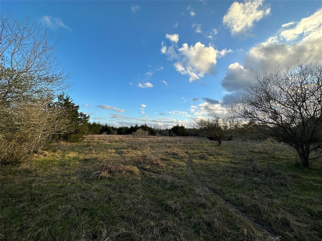 39421 Fm 529, Brookshire, Texas image 33