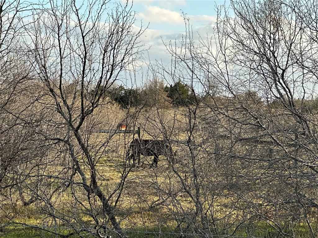 39421 Fm 529, Brookshire, Texas image 14