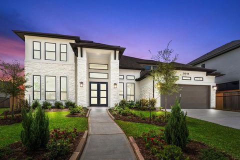 9618 Leafgate Court Missouri City TX 77459