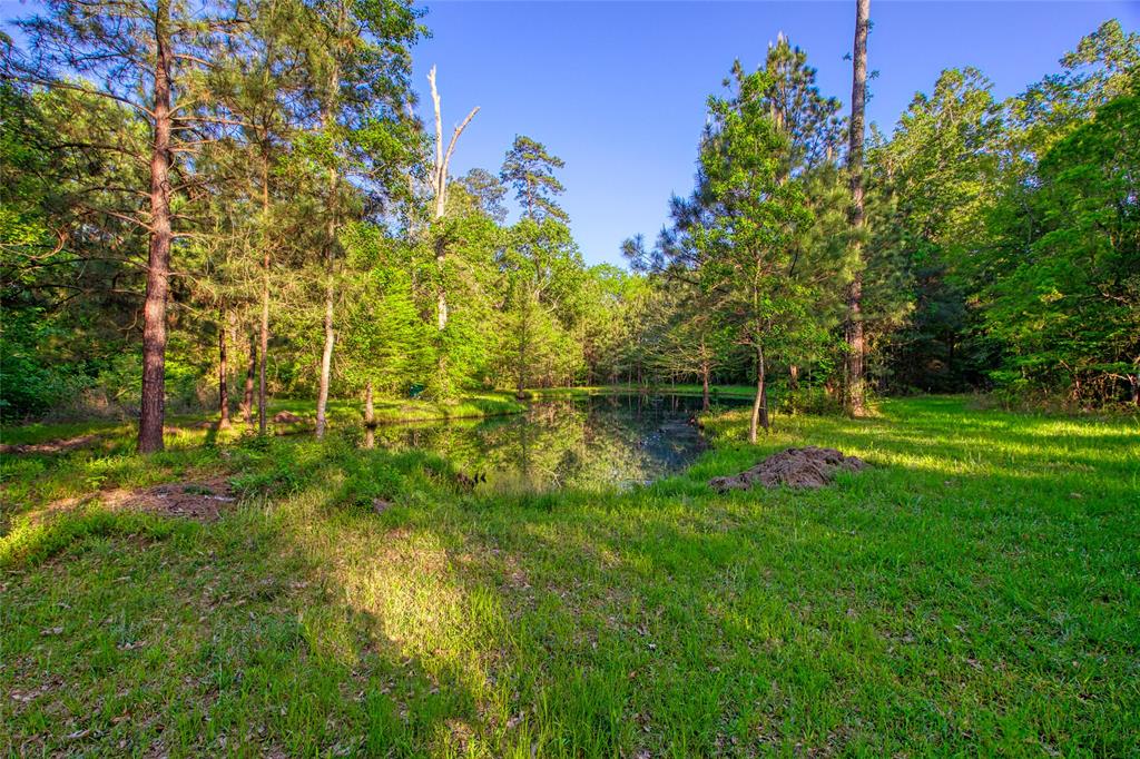 10949 Highway 326, Kountze, Texas image 17