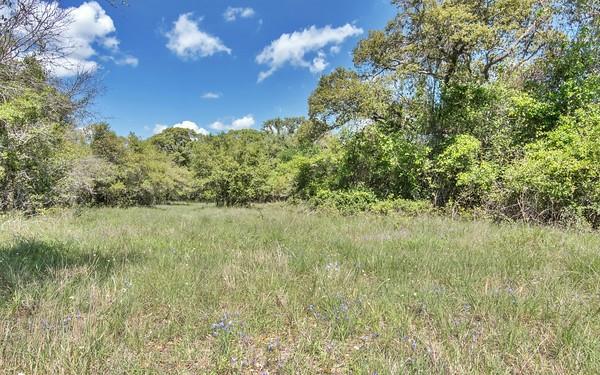 Tract 3 Farm Market 530, Edna, Texas image 4