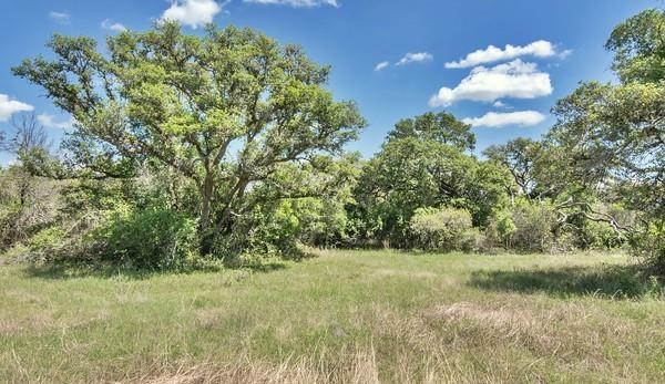 Tract 3 Farm Market 530, Edna, Texas image 1