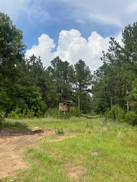 11016 County Rd 3375, Lovelady, Texas image 11