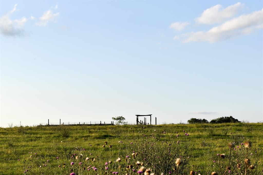 443 County Road 280, Shiner, Texas image 29