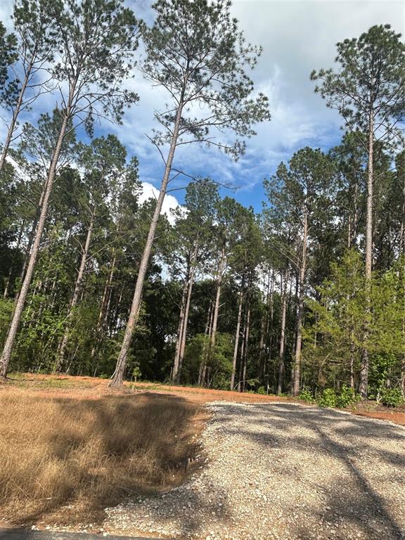 11350 Annie Creek Drive Dr, Willis, Texas image 1