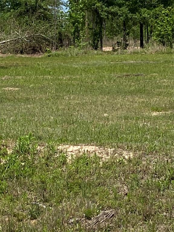 8034 5914 16, Cleveland, Texas image 1