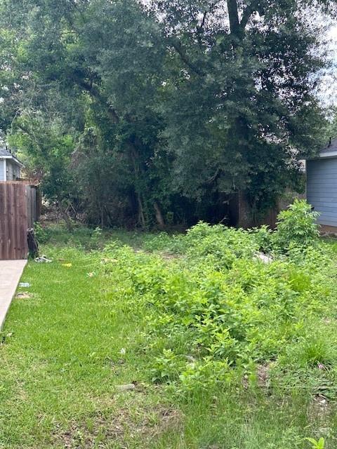 821 Palmdate, Montgomery, Texas image 3