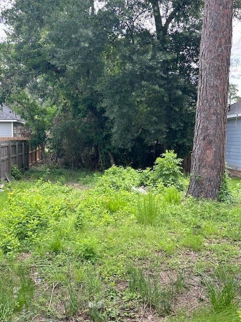 821 Palmdate, Montgomery, Texas image 6