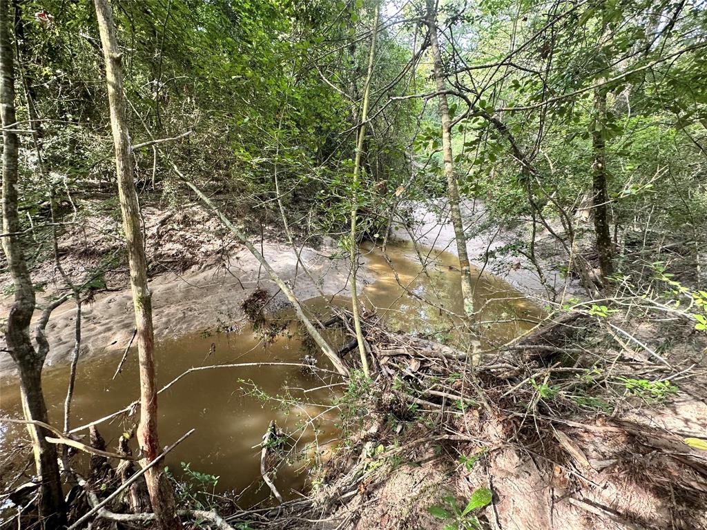 TBD Cr 2845/pr 6260, Colmesneil, Texas image 33