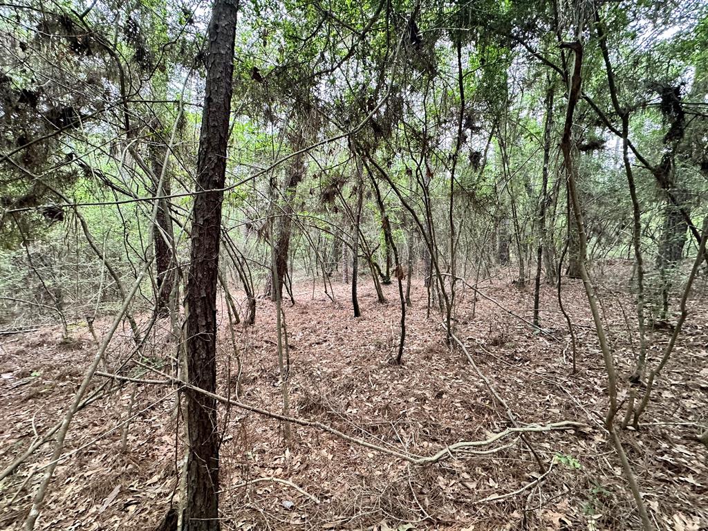 TBD Cr 2845/pr 6260, Colmesneil, Texas image 17