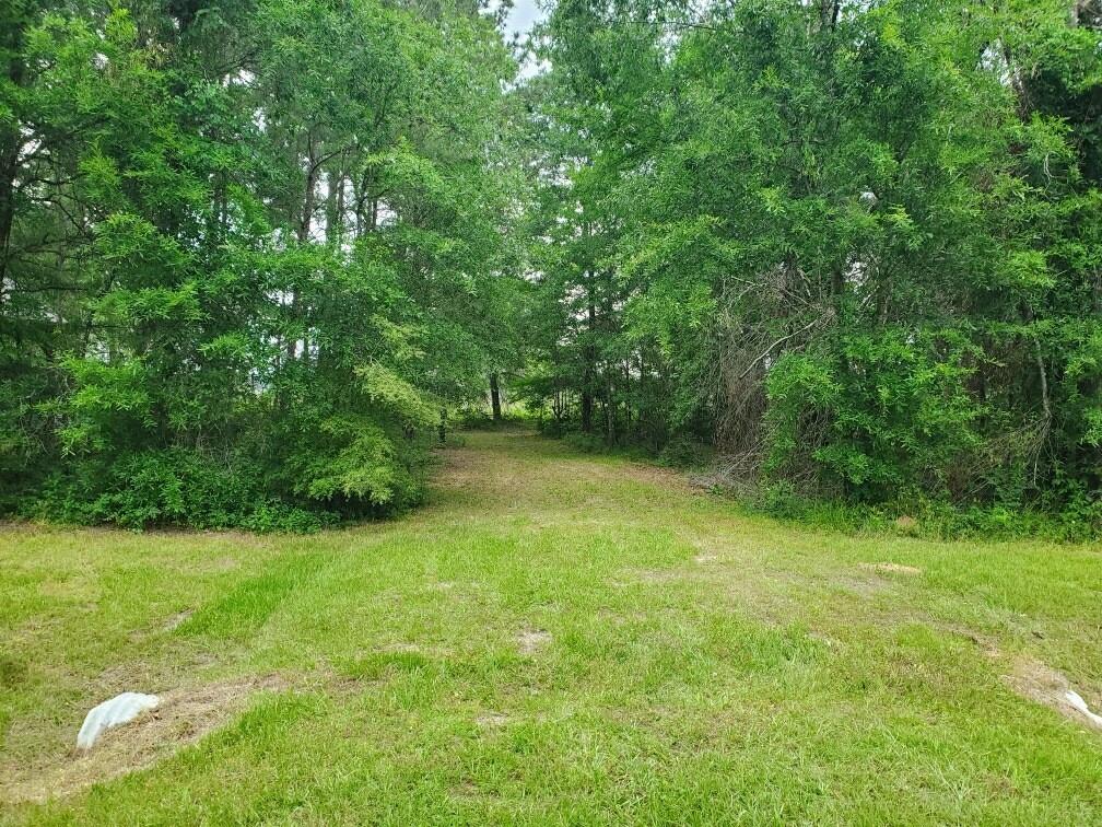 174 Vine Arbor Dr, Livingston, Texas image 8