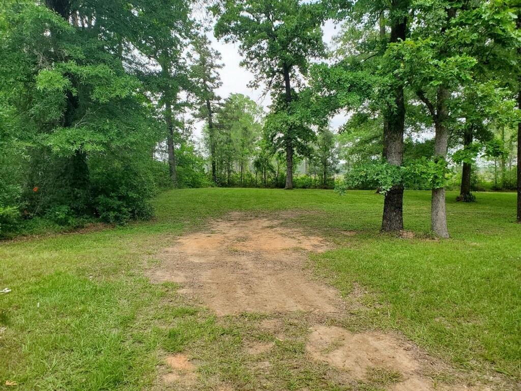 174 Vine Arbor Dr, Livingston, Texas image 9