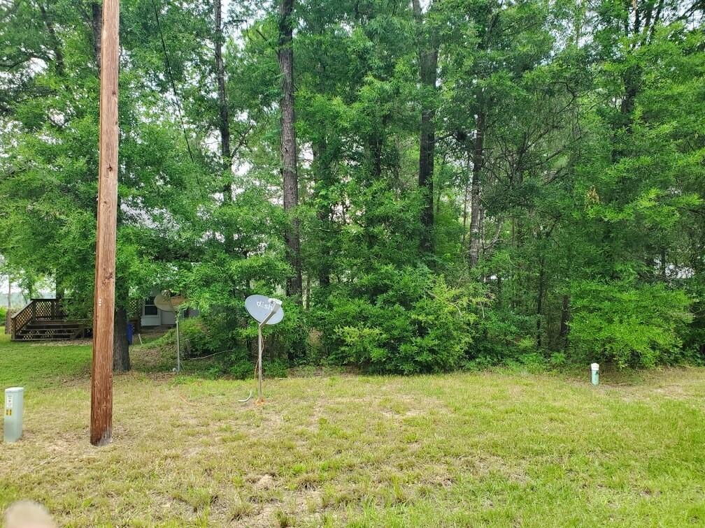 174 Vine Arbor Dr, Livingston, Texas image 11