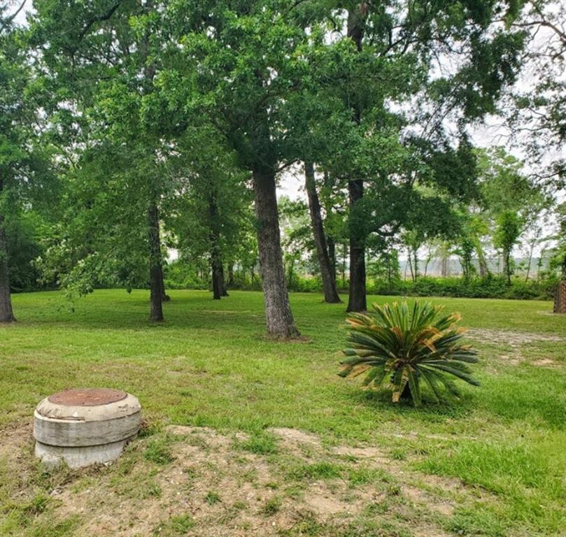 174 Vine Arbor Dr, Livingston, Texas image 6