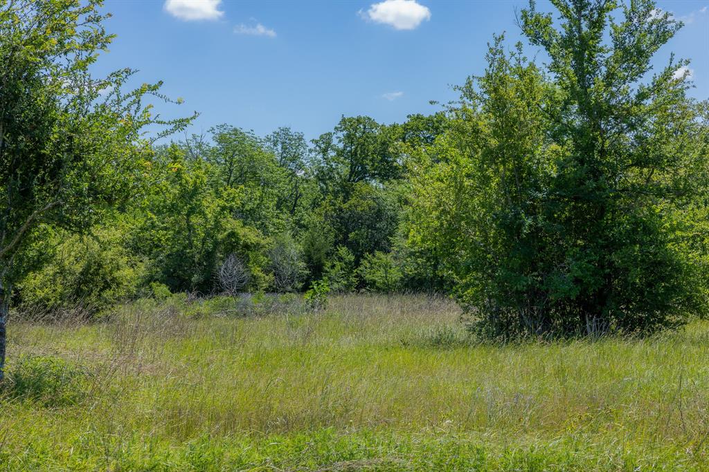 6534 Atakapan Trail Trl, Bedias, Texas image 4