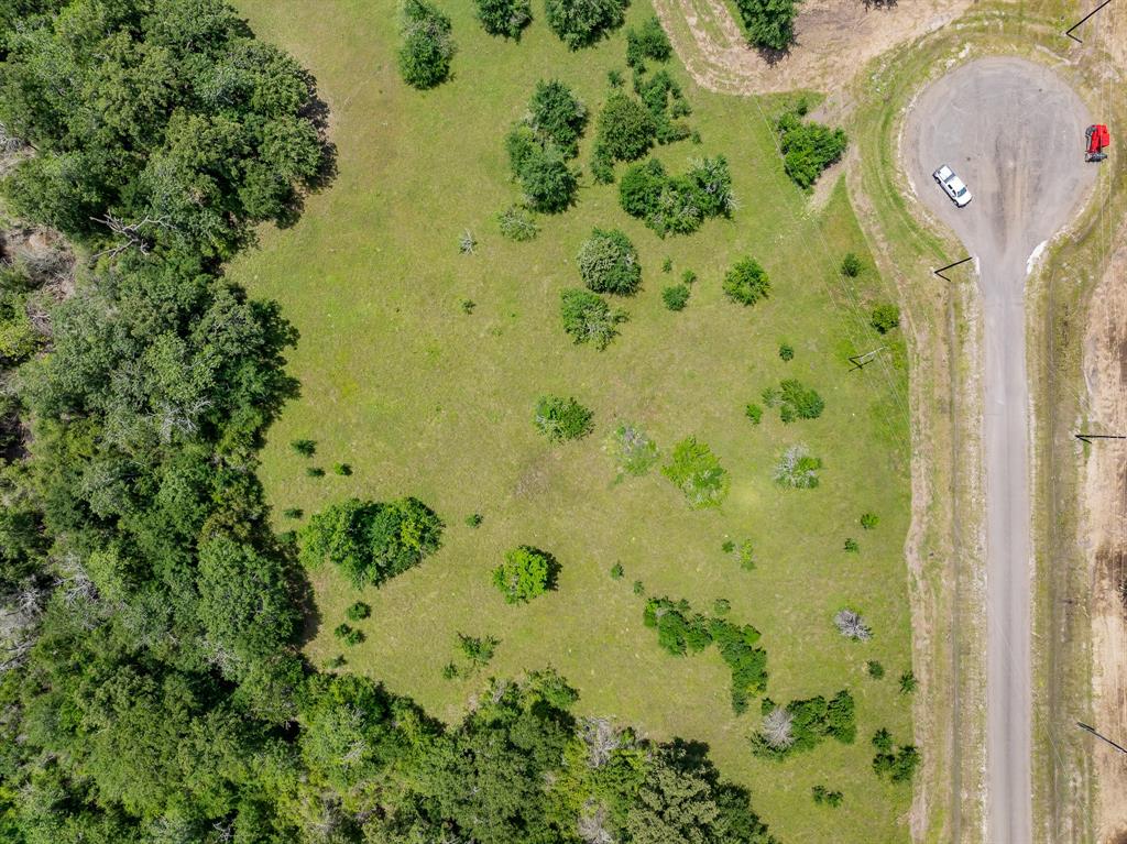 6534 Atakapan Trail Trl, Bedias, Texas image 5