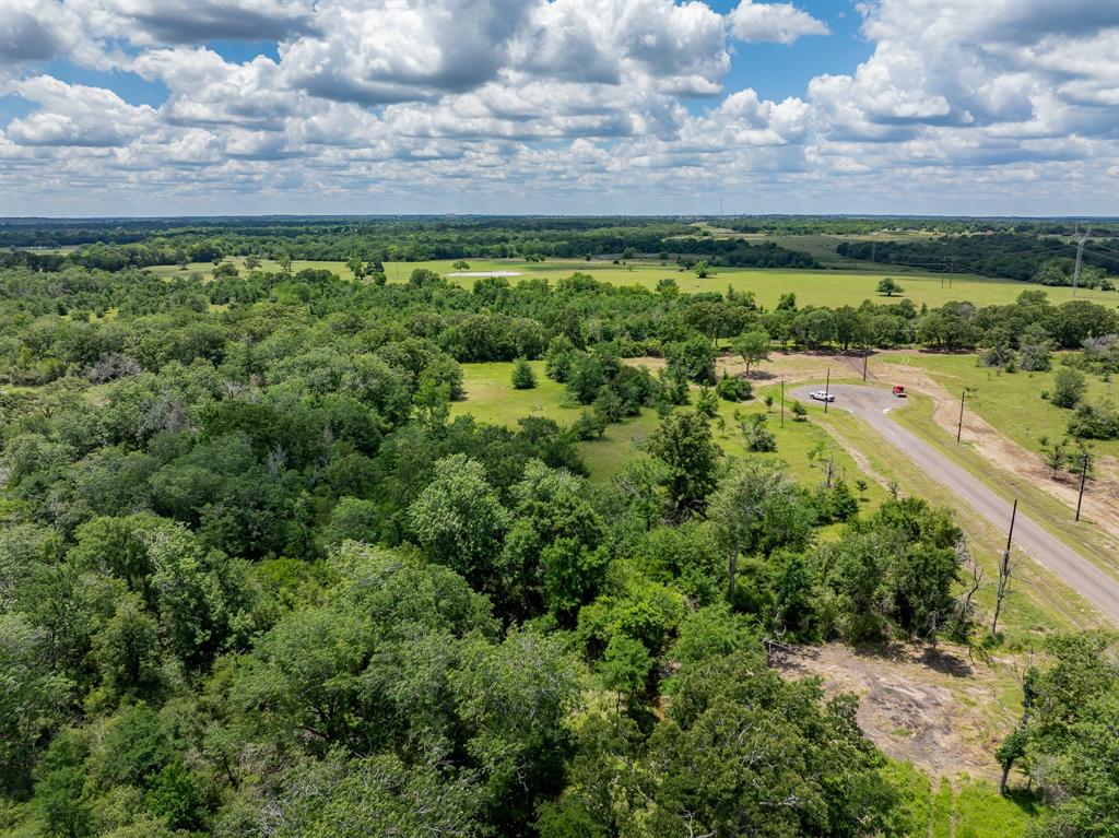 6534 Atakapan Trail Trl, Bedias, Texas image 6