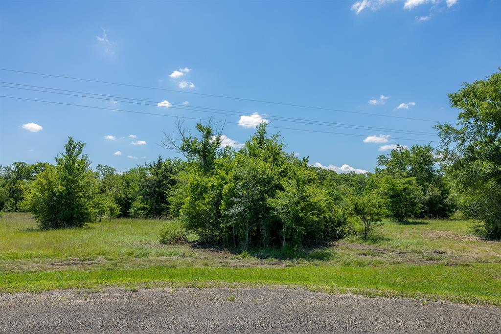 6534 Atakapan Trail Trl, Bedias, Texas image 3