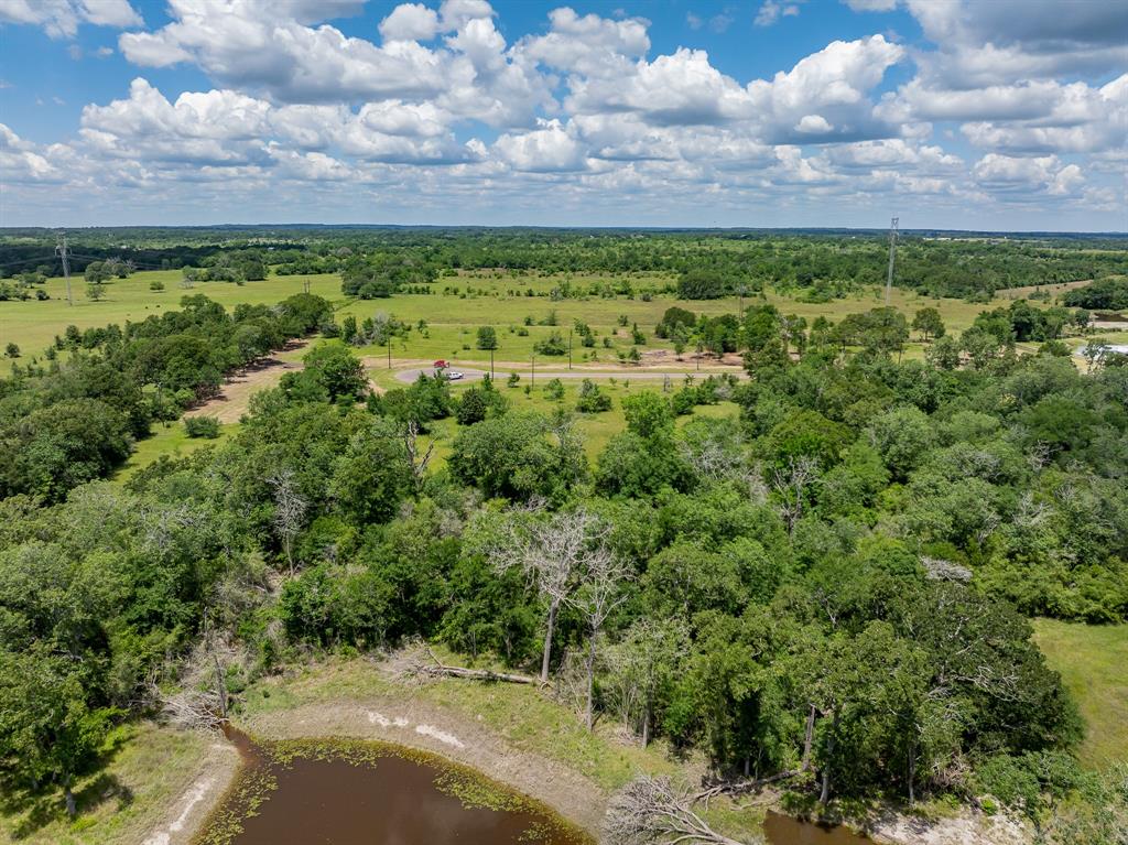 6534 Atakapan Trail Trl, Bedias, Texas image 7