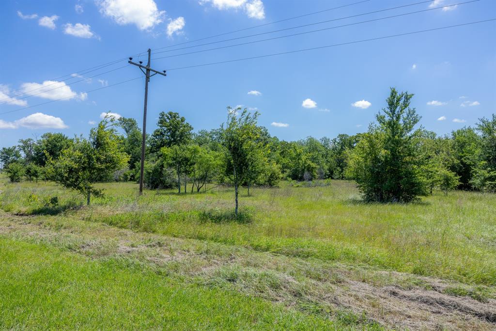 6534 Atakapan Trail Trl, Bedias, Texas image 2