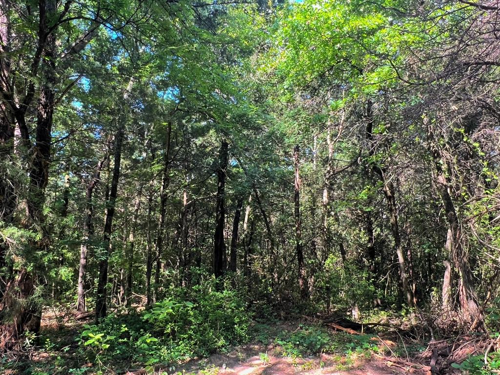 60 Acres Cr 1080, Fairfield, Texas image 29