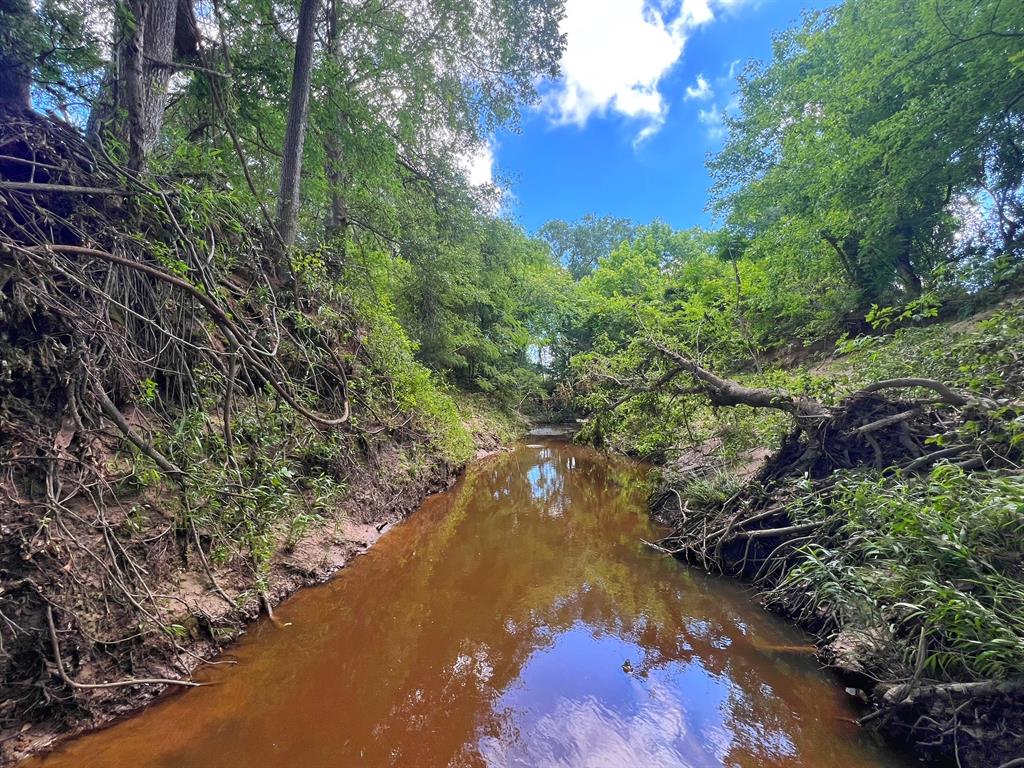 60 Acres Cr 1080, Fairfield, Texas image 4